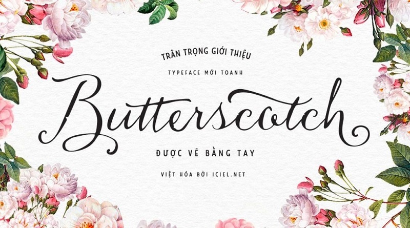 font-iciel-viet-hoa