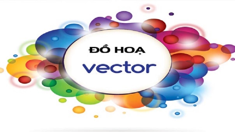do-hoa-vector