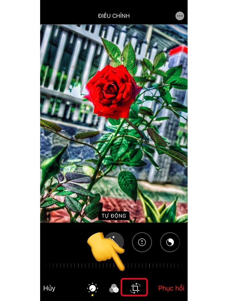 sao-chep-chinh-sua-anh-tren-iphone-ios-15